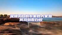 深圳灭白蚁专家教大家如何找到散白蚁
