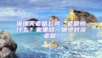 深圳灭老鼠公司:老鼠怕什么?家里放一物绝对没老鼠!