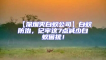 【深圳灭白蚁公司】白蚁防治，记牢这7点减少白蚁困扰！