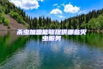 杀虫加盟能够提供哪些灭虫服务