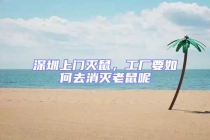 深圳上门灭鼠，工厂要如何去消灭老鼠呢