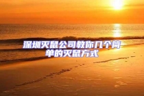 深圳灭鼠公司教你几个简单的灭鼠方式