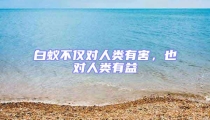 白蚁不仅对人类有害,也对人类有益