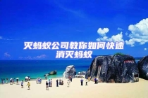 灭蚂蚁公司教你如何快速消灭蚂蚁
