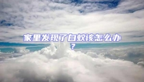 家里发现了白蚁该怎么办?