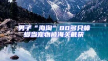 男子“海淘”80多只蟑螂当宠物被海关截获