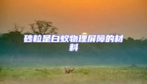 砂粒是白蚁物理屏障的材料