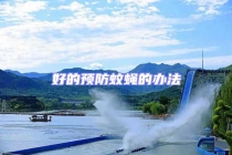 好的预防蚊蝇的办法