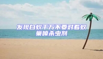 发现白蚁千万不要对着蚁巢喷杀虫剂