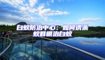 白蚁防治中心:如何诱杀蚁群根治白蚁