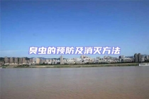 臭虫的预防及消灭方法