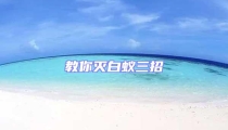 教你灭白蚁三招