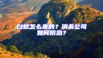 白蚁怎么来的?消杀公司如何防治?