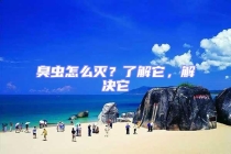 臭虫怎么灭？了解它，解决它