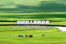蚂蚁对人类的危害