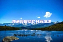 找来蟑螂帮忙分解垃圾