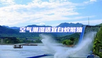 空气潮湿适宜白蚁繁殖