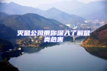 灭鼠公司带你深入了解鼠类危害