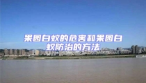 果园白蚁的危害和果园白蚁防治的方法