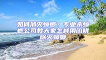 如何消灭蟑螂？专业杀蟑螂公司教大家怎样用陷阱除灭蟑螂