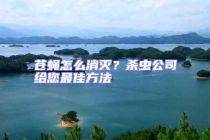 苍蝇怎么消灭？杀虫公司给您最佳方法