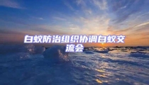 白蚁防治组织协调白蚁交流会