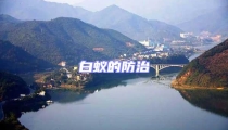 白蚁的防治