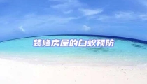 装修房屋的白蚁预防