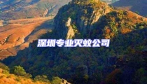 深圳专业灭蚊公司