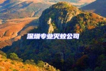 深圳专业灭蚊公司