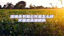 深圳杀书虱公司是怎么样灭啮虫杀蟑螂的