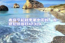 青岛今起秋季集中灭蚊，有意见可拨打12319