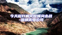 今天起打响灭蚊蝇突击战-深圳杀虫公司