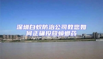 深圳白蚁防治公司教您如何正确投放蟑螂药