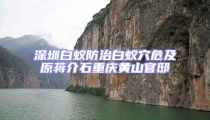 深圳白蚁防治白蚁穴危及原蒋介石重庆黄山官邸