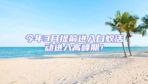今年3月提前进入白蚁活动进入高峰期!