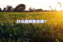 什么是有害生物？