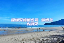 深圳灭蟑螂公司 蟑螂怎么消灭