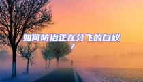 如何防治正在分飞的白蚁？