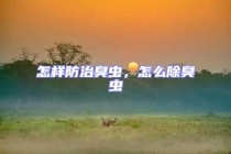 怎样防治臭虫，怎么除臭虫