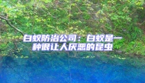 白蚁防治公司：白蚁是一种很让人厌恶的昆虫