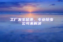 工厂发生鼠患，专业除虫公司来解决