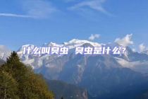 什么叫臭虫 臭虫是什么？