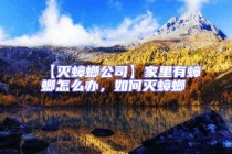 【灭蟑螂公司】家里有蟑螂怎么办，如何灭蟑螂