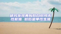 研究发现黄胸散白蚁可无性繁殖 蚁后是单性生殖
