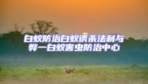 白蚁防治白蚁诱杀法利与弊一白蚁害虫防治中心