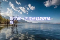 想了解一下灭蚂蚁的方法吗