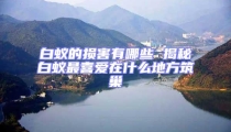 白蚁的损害有哪些 揭秘白蚁最喜爱在什么地方筑巢