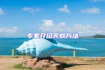 专家介绍灭蚁方法