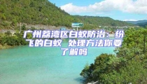 广州荔湾区白蚁防治:纷飞的白蚁 处理方法你要了解吗